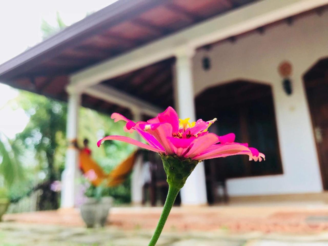 Kawshan Home Stay Диквела Екстериор снимка